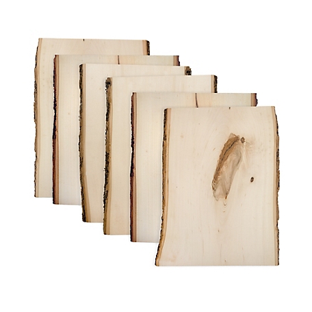 Walnut Hollow Rustic Basswood Plank, 11 to 13 in. Wide x 16 in. 6 pk.