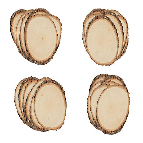 Walnut Hollow Basswood Round, Small 5 to 7 in. Wide 24 pk.