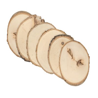 Walnut Hollow Rustic Basswood Round, Small 5 to 7 in. Wide 6 pk.