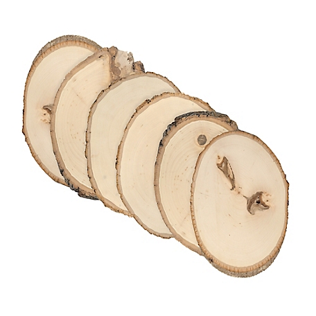 Walnut Hollow Rustic Basswood Round, Small 5 to 7 in. Wide 6 pk.