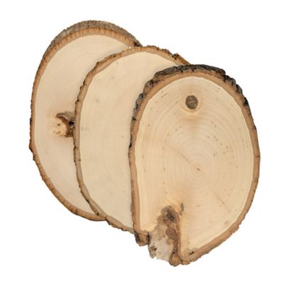 Walnut Hollow Rustic Basswood Round, Small 5 to 7 in. Wide 3 pk.