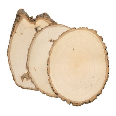 Walnut Hollow Rustic Basswood Round, Large 9 to 12 in. Wide 3 pk.