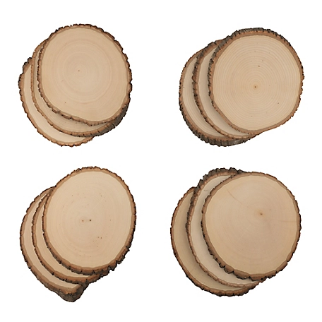 Walnut Hollow Rustic Basswood Round, Medium 7 to 9 in. Wide 12 pk.