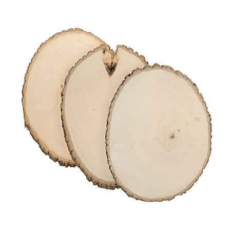 Walnut Hollow Rustic Basswood Round, Extra Large 12 to 14 in. Wide 3 pk.