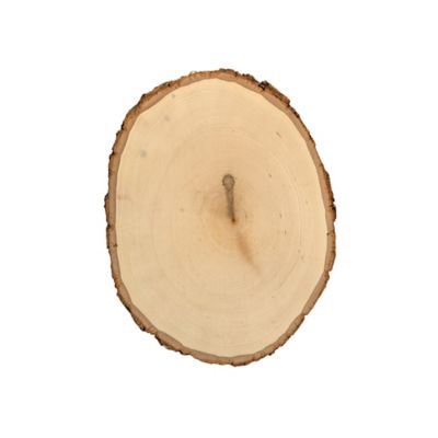 Walnut Hollow Rustic Basswood Round, Small 5 to 7 in. Wide