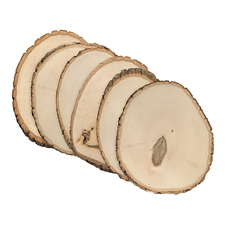 Walnut Hollow Rustic Basswood Round, Medium 7 to 9 in. Wide 6 pk.