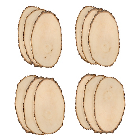 Walnut Hollow Basswood Round, Large 9 to 12 in. Wide 12 pk.