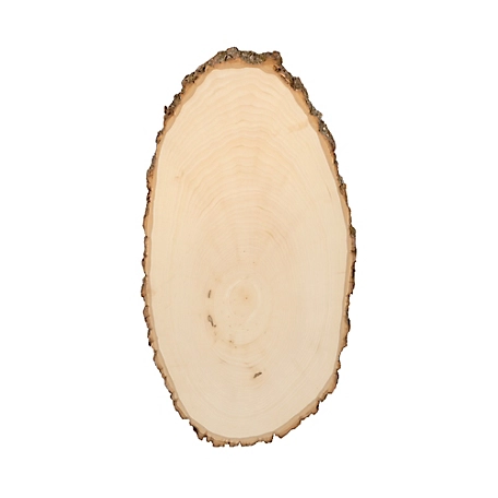 Walnut Hollow Basswood Round, Large 9 to 12 in. Wide