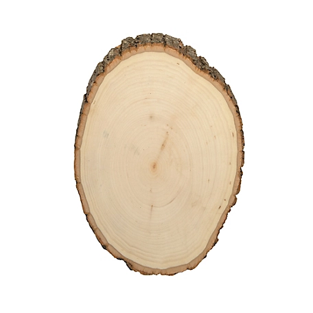 Walnut Hollow Rustic Basswood Round, Medium 7 to 9 in. Wide