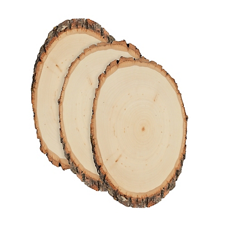 Walnut Hollow Basswood Round, Small 5 to 7 in. Wide 3 pk.
