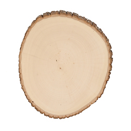Walnut Hollow Basswood Round, Extra Large 12 to 14 in. Wide