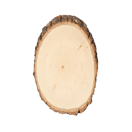 Walnut Hollow Basswood Round, Small 5 to 7 in. Wide