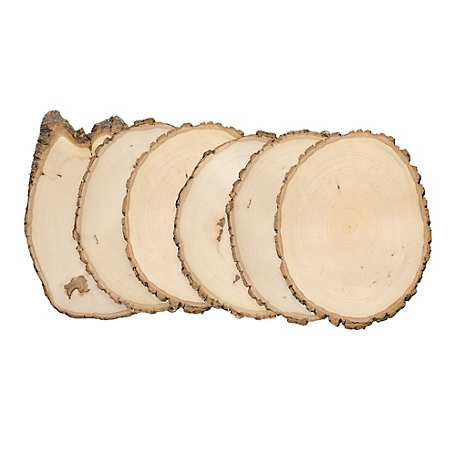 Walnut Hollow Rustic Basswood Round, Large 9 to 12 in. Wide 6 pk.