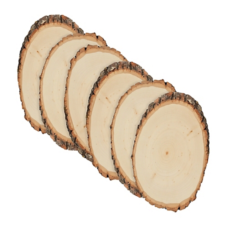 Walnut Hollow Basswood Round, Small 5 to 7 in. Wide 6 pk.