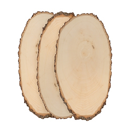 Walnut Hollow Basswood Round, Large 9 to 12 in. Wide 3 pk.