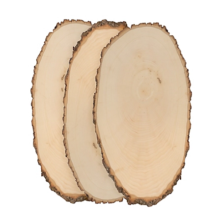 Walnut Hollow Basswood Round, Large 9 to 12 in. Wide 3 pk.
