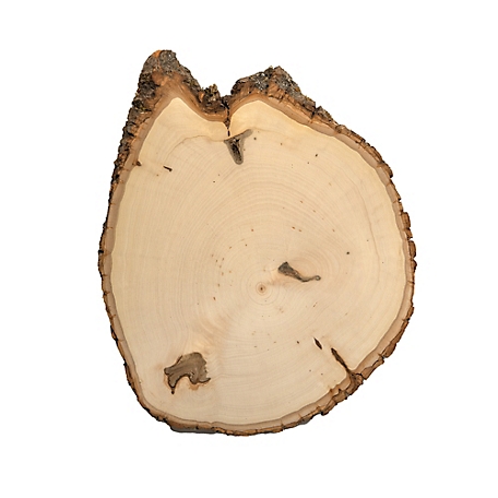 Walnut Hollow Rustic Basswood Round, Large 9 to 12 in. Wide