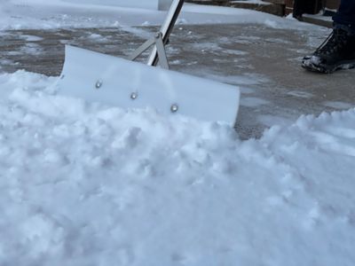 Image showing 7 th Loyal 30 in. Poly Snow Pusher