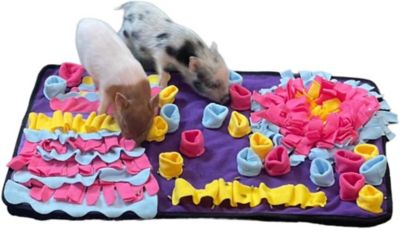 Image showing  Snuffle Mat Bundle Pack of 10