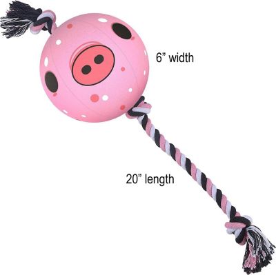 Image showing  Interactive Pig Ball & Pig Tug Rope Combo Pack
