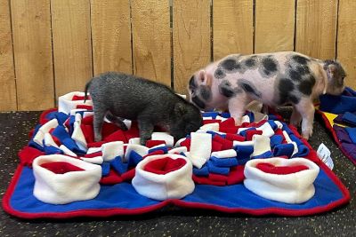 Image showing  Red, White, & Blue Snuffle Mat