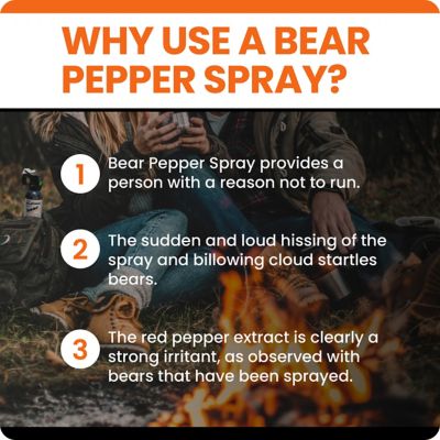 Image showing  #12 Premium Bear Spray