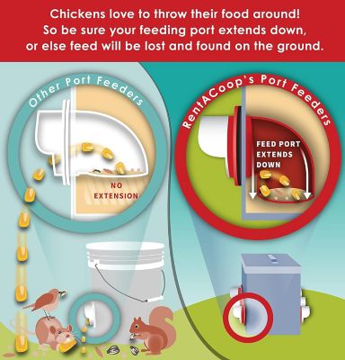 Image showing  High Rise Chicken Feeder and Waterer Set