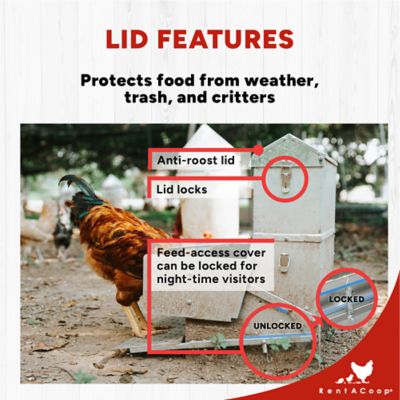 Image showing  Metal Chicken Treadle Feeder, 40 lb.