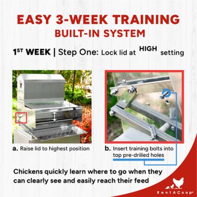 Image showing  Metal Chicken Treadle Feeder, 40 lb.