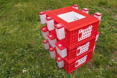 Image showing  Poultry Carrier Crate