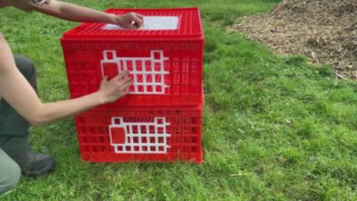 Image showing  Poultry Carrier Crate