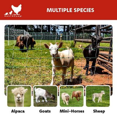 Image showing  168 ft. x 42 in. H Electric Anti Predator Stainless Steel Goat Fence