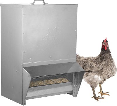 RentACoop Mounted Chicken Trough Feeder, 50 lb.