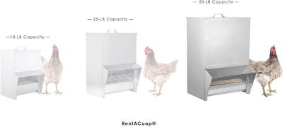 Image showing  Mounted Chicken Trough Feeder, 50 lb.