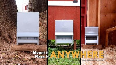 Image showing  Mounted Chicken Trough Feeder, 10 lb.