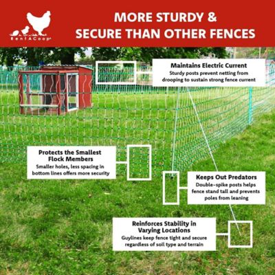 Image showing  Electric Anti Predator Poultry Fence, 42 in. by 168 ft.