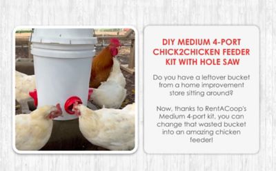 Image showing  DIY 4 Port Chick 2 Chicken Feeder Kit