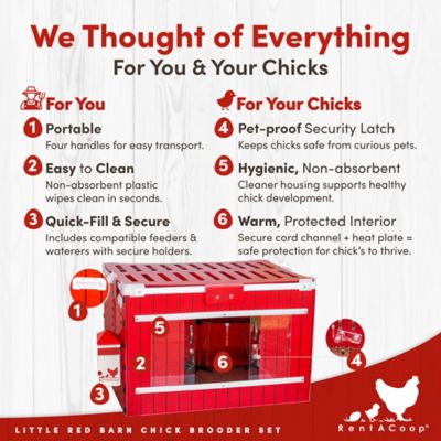 Image showing  Little Red Barn Folding Chick Brooder All-in-One Set for 10 Chicks