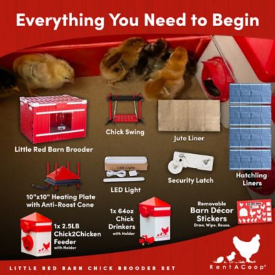Image showing  Little Red Barn Folding Chick Brooder All-in-One Set for 10 Chicks