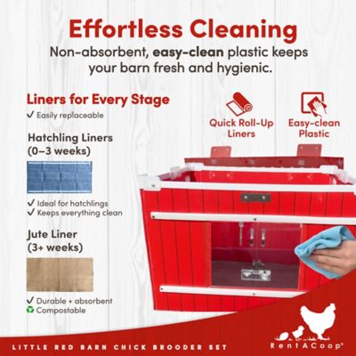 Image showing 5 th RentACoop Little Red Barn Folding Chick Brooder All-in-One Set for 10 Chicks