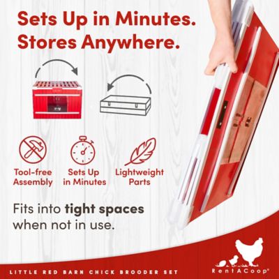 Image showing 6 th RentACoop Little Red Barn Folding Chick Brooder All-in-One Set for 10 Chicks