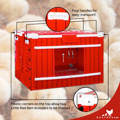 Image showing  Little Red Barn Folding Chick Brooder
