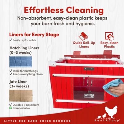 Image showing 5 th RentACoop Little Red Barn Folding Chick Brooder