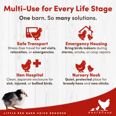 Image showing 7 th RentACoop Little Red Barn Folding Chick Brooder