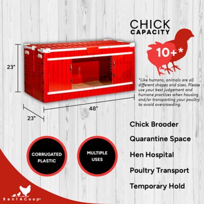 Image showing  Big Red Barn Folding Chick Brooder