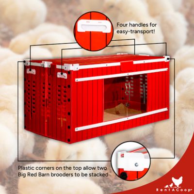 Image showing  Big Red Barn Folding Chick Brooder