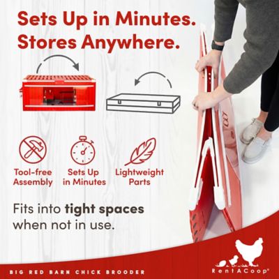 Image showing 6 th RentACoop Big Red Barn Folding Chick Brooder