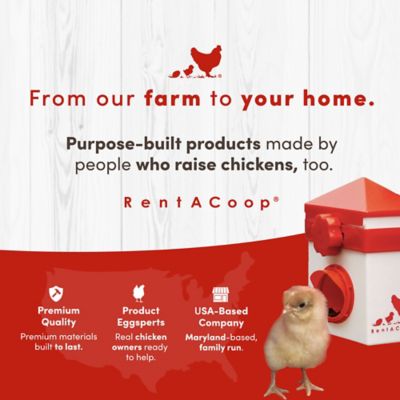 Image showing 8 th RentACoop Big Red Barn Folding Chick Brooder