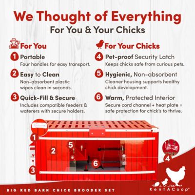 Image showing  Big Red Barn Folding Chick Brooder All-in-One Set