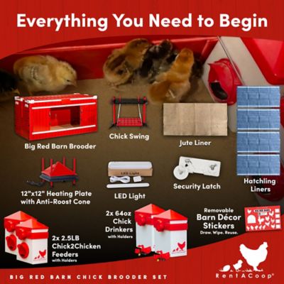 Image showing  Big Red Barn Folding Chick Brooder All-in-One Set
